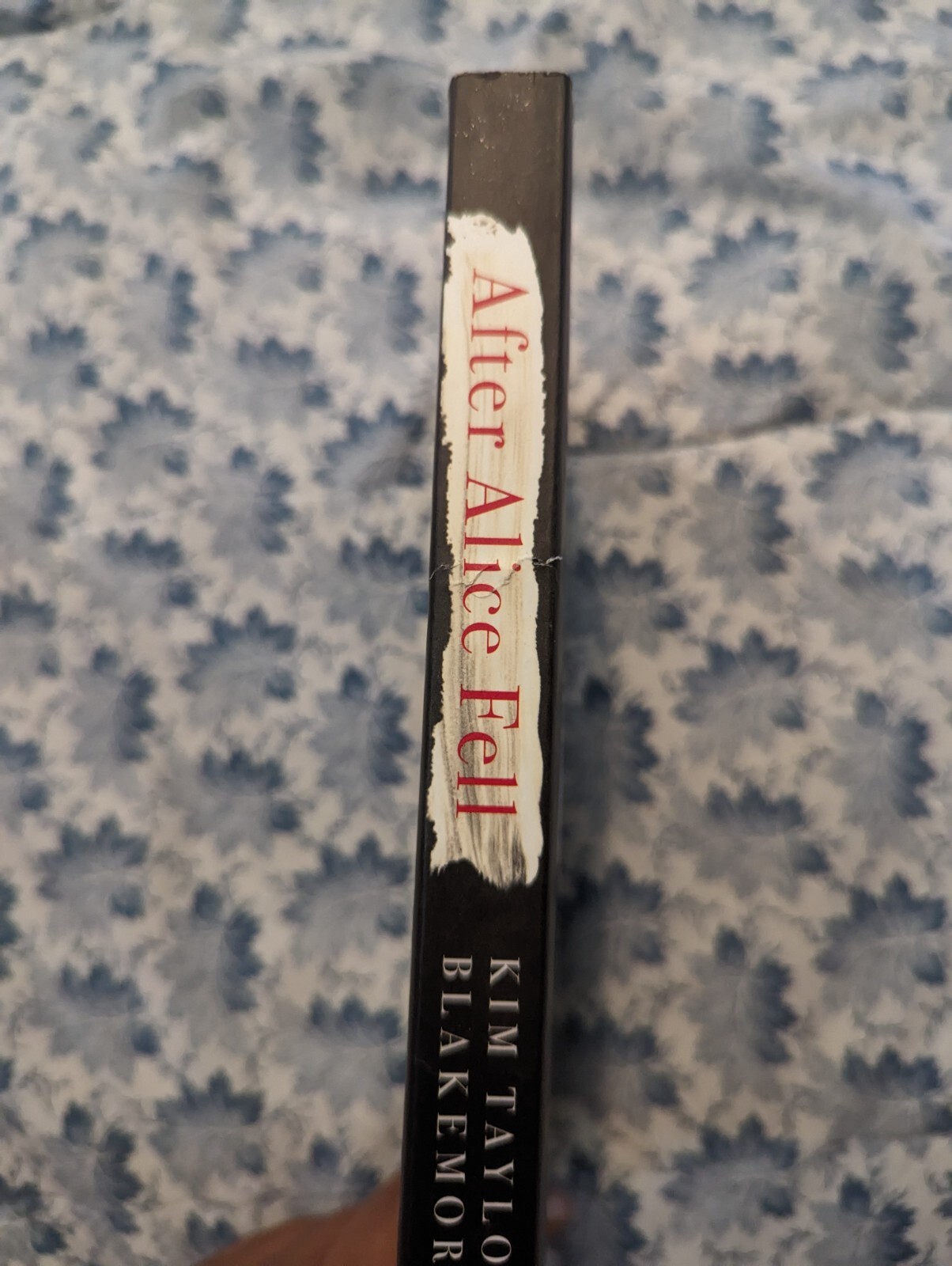 After Alice Fell : A Novel by Kim Taylor Blakemore (2021, Trade Paperback)