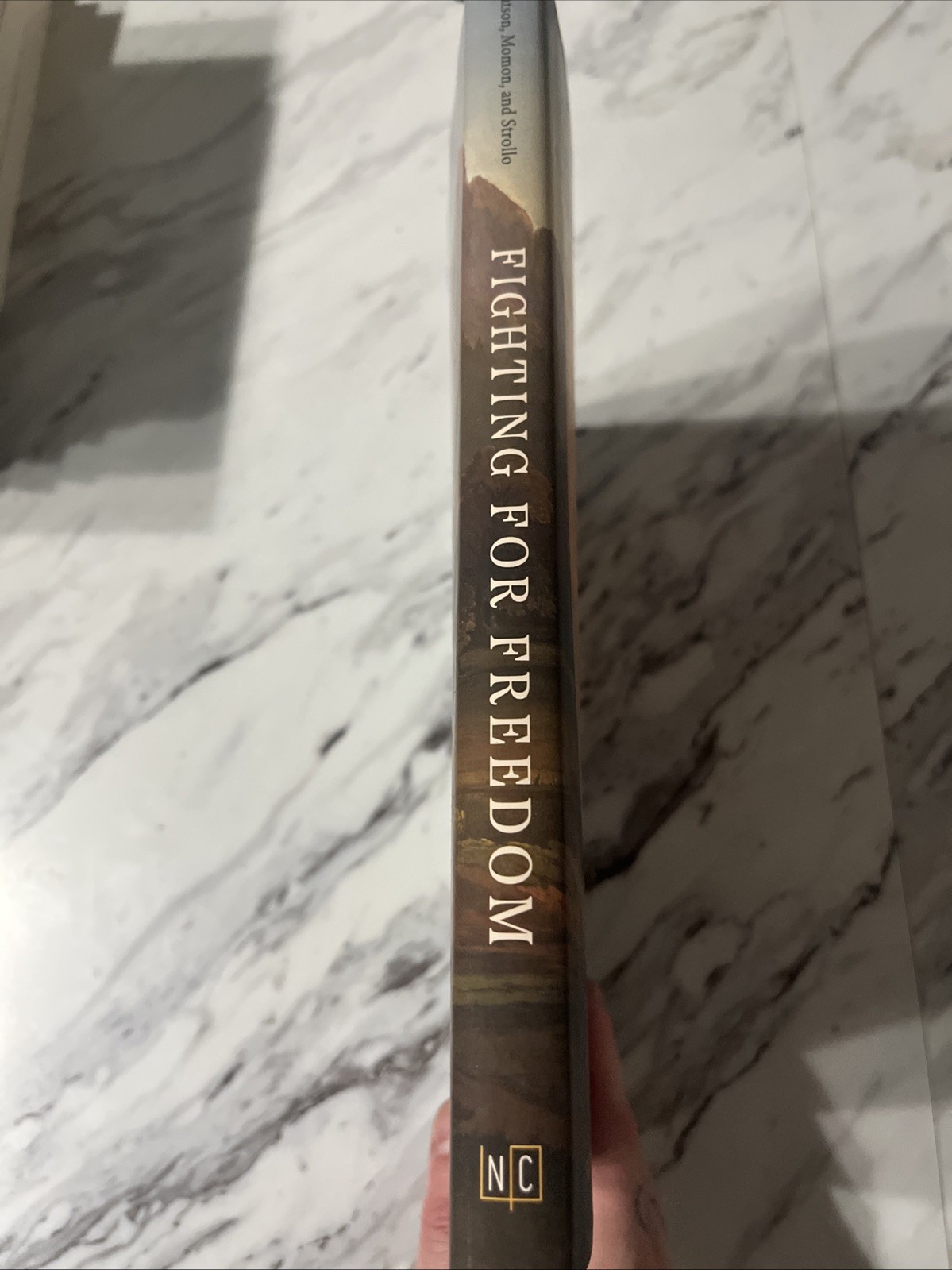 Fighting for Freedom: Black Craftspeople Gatson Momon Strollo Hardcover