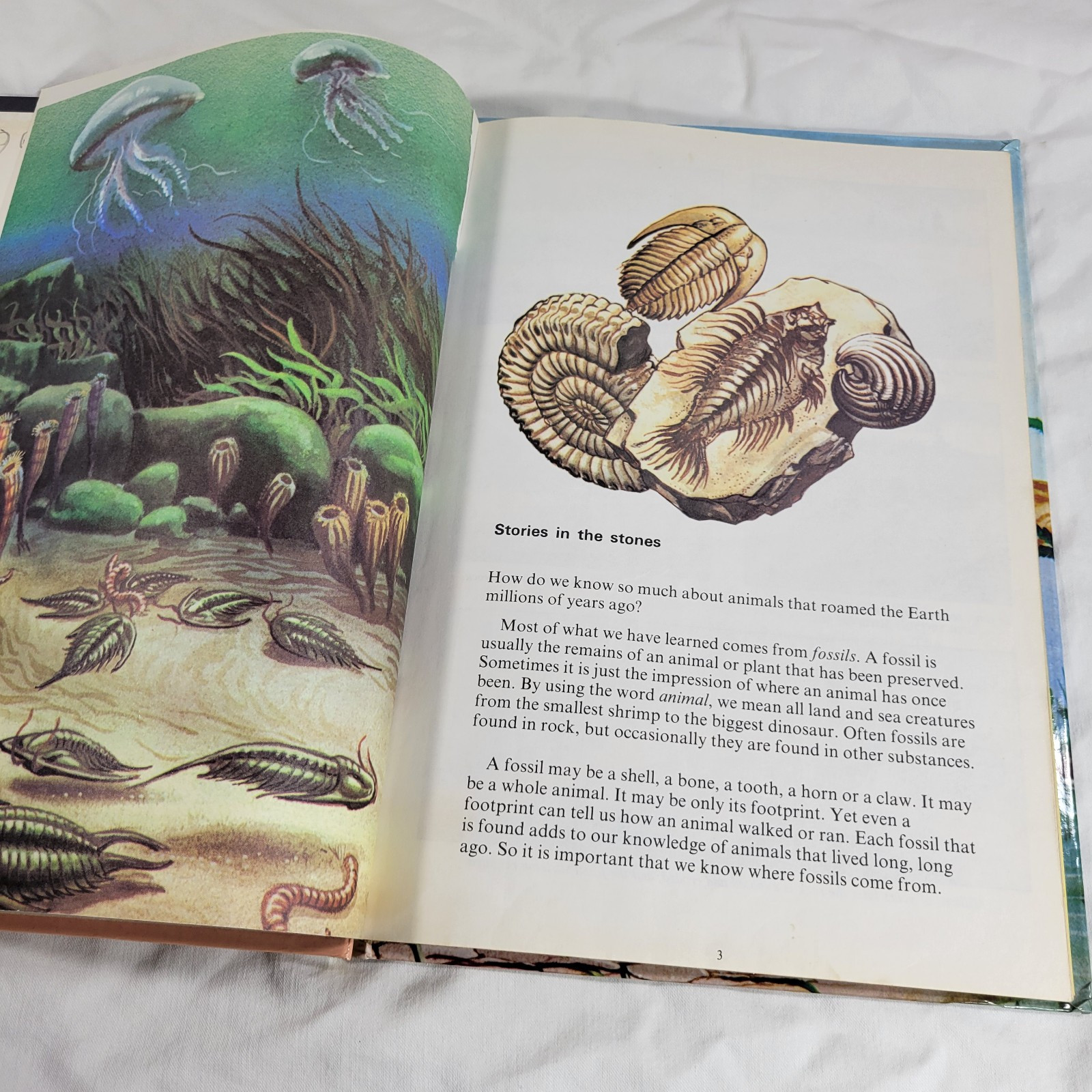 Dinosaurs And Prehistoric Animals Book Vintage 1981 Kid’s Hardcover Honey Bear