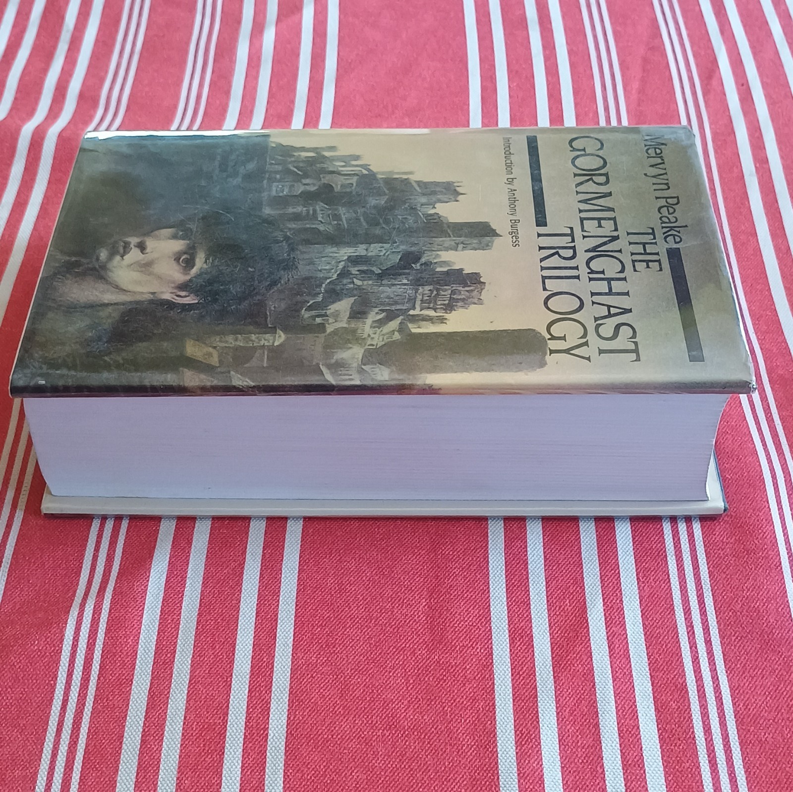 Mervyn Peake The Gormenghast Trilogy Hardcover Fantasy Overlook Press 1988 DJ