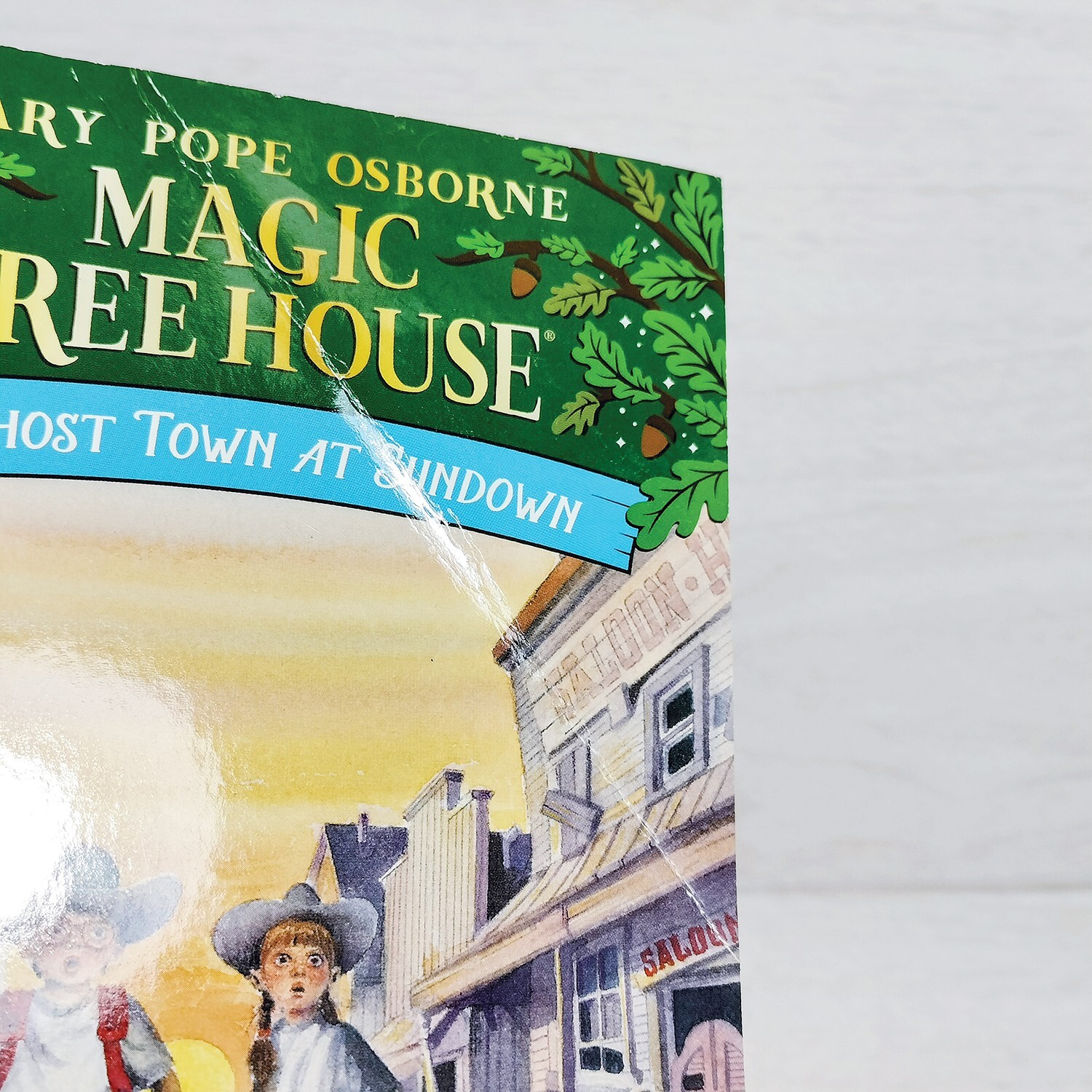Magic Tree House Books 1-15 Complete Box Set Collection #1 PB Mary Pope Osborne
