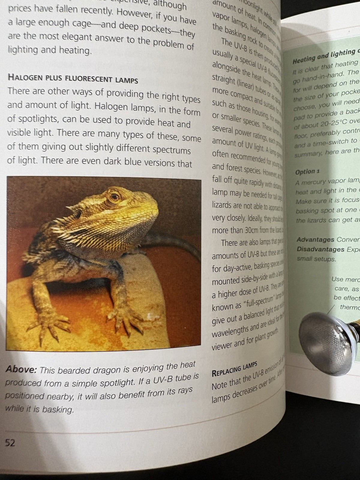 Barron’s Mini Encyclopedia Bearded Dragons Chris Mattison Paperback 2011 Illus