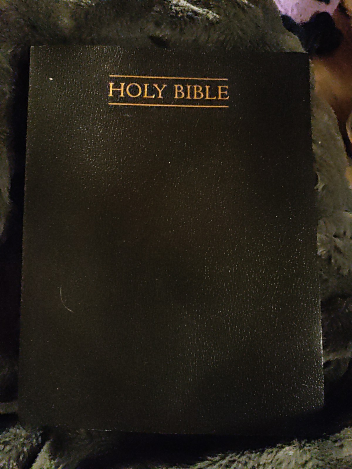 Simulated Leather LDS Holy Bible King James Version KJV LARGE PRINT 2013 Edition