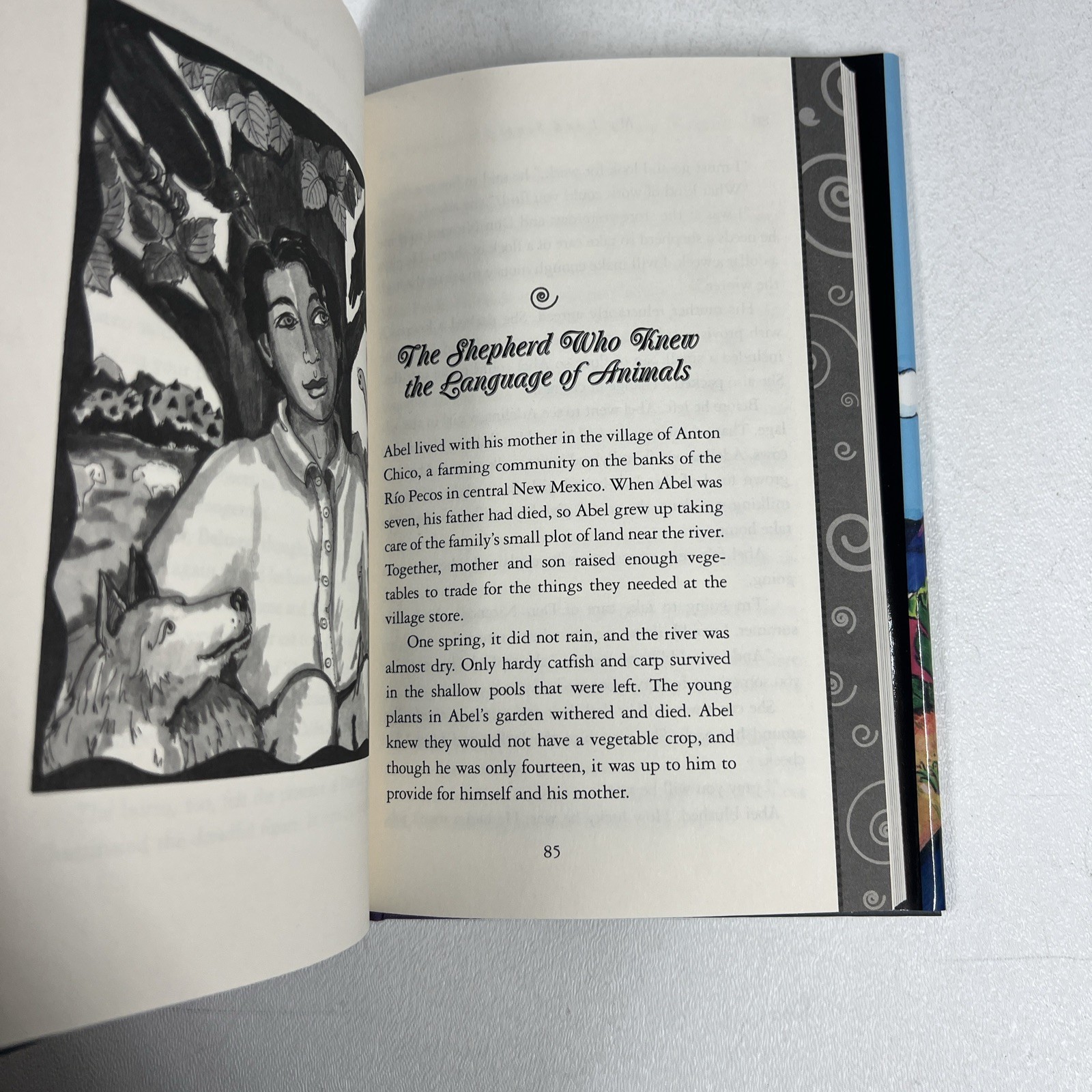 My Land Sings Rudolfo Anaya SIGNED FIRST EDTION Stories from the Rio Grande HC