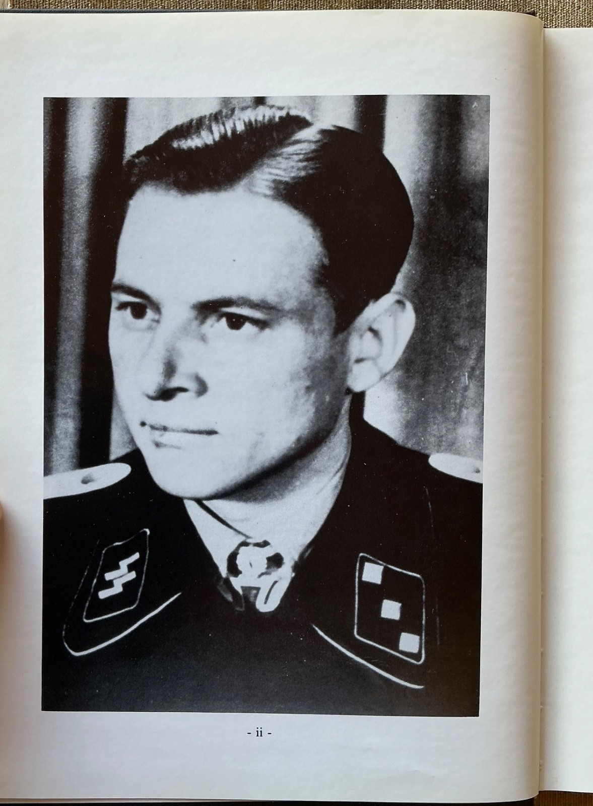 Panzerheld: The Story of Hauptsturmfuhrer Michael Wittman, the Greatest Tank…