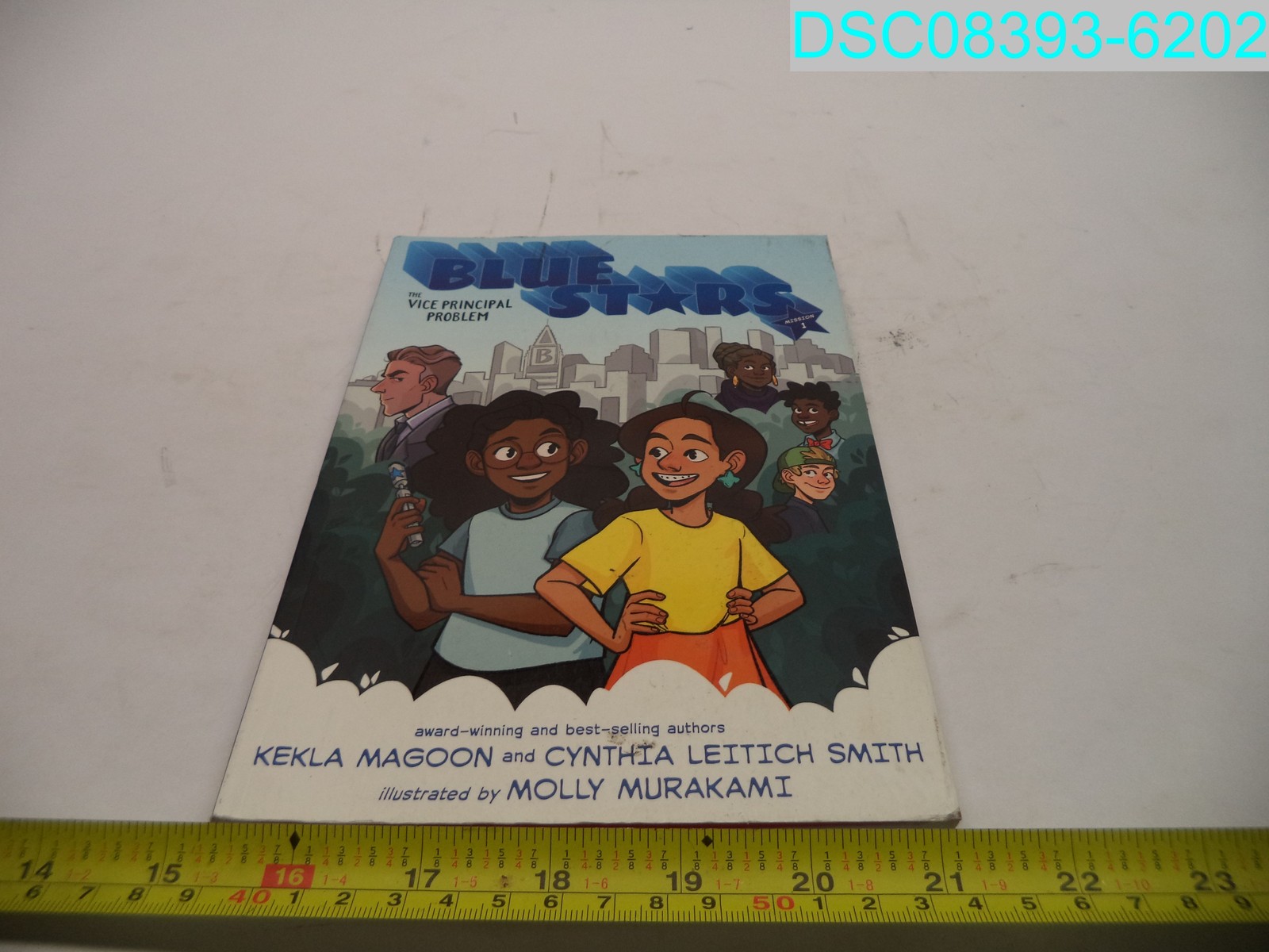 Blue Stars Mission One: The Vice Principal Problem Paperback 9781536228663