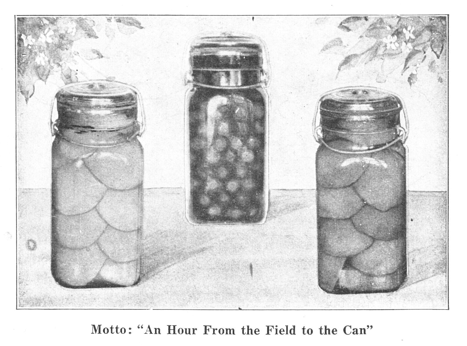 Home Canning Preserving & Pickling 1936 Old Timey Recipe Book Homesteading 4H