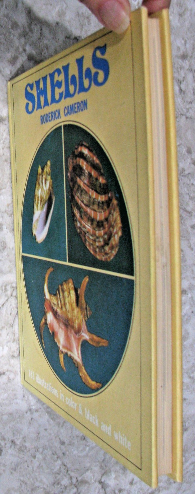 Shells by Roderick Cameron, octopus Books, 1972, 143 Illustrations, HB