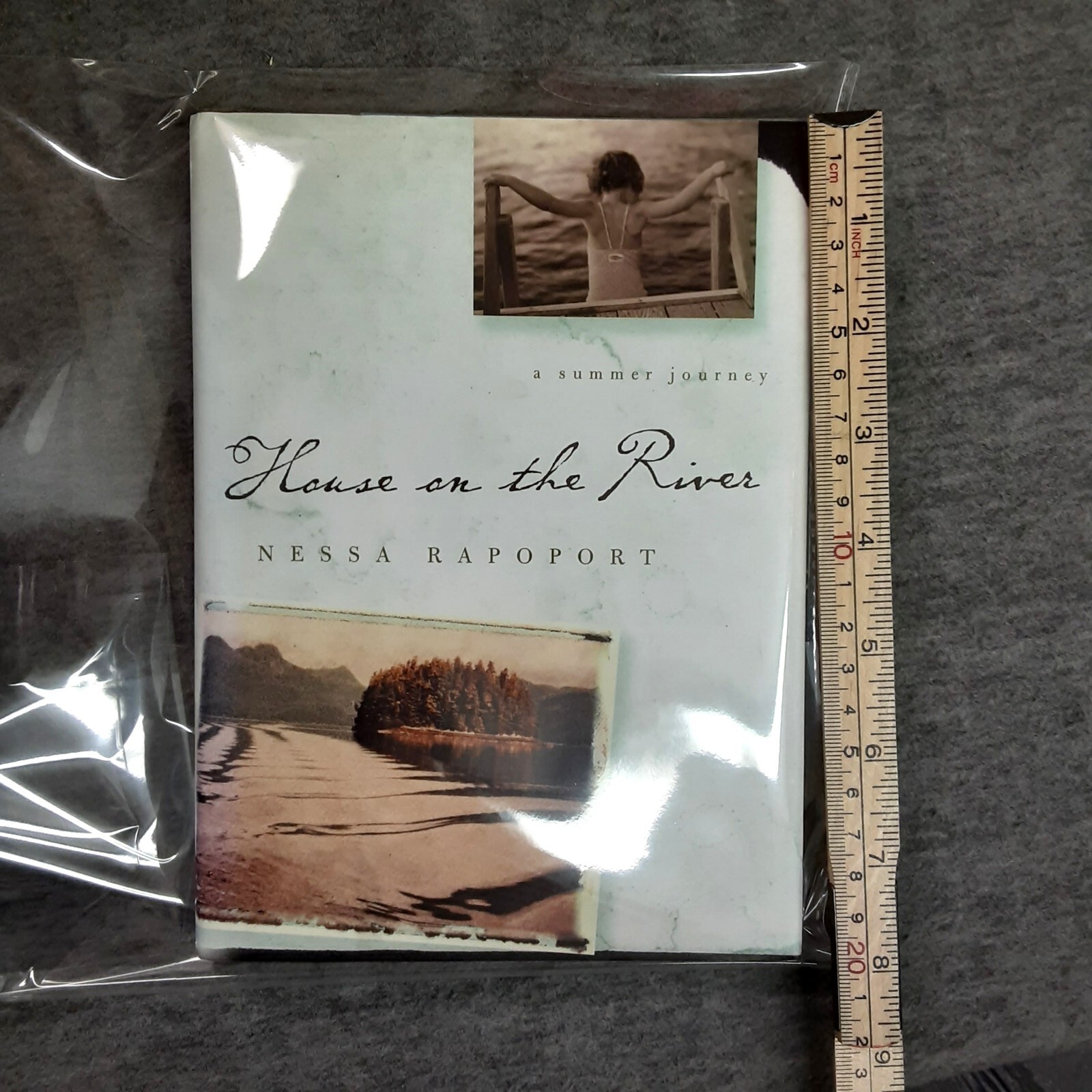 House on the Rivery by Nessa Rapoport A Summer Journey Pre-Owned 2004 159 pages