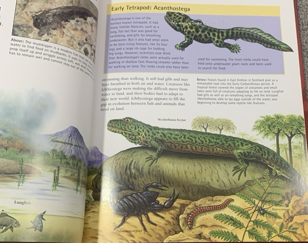 Complete Guide to Dinosaurs by Chris McNab – Hardcover – Velika Enciklopedija