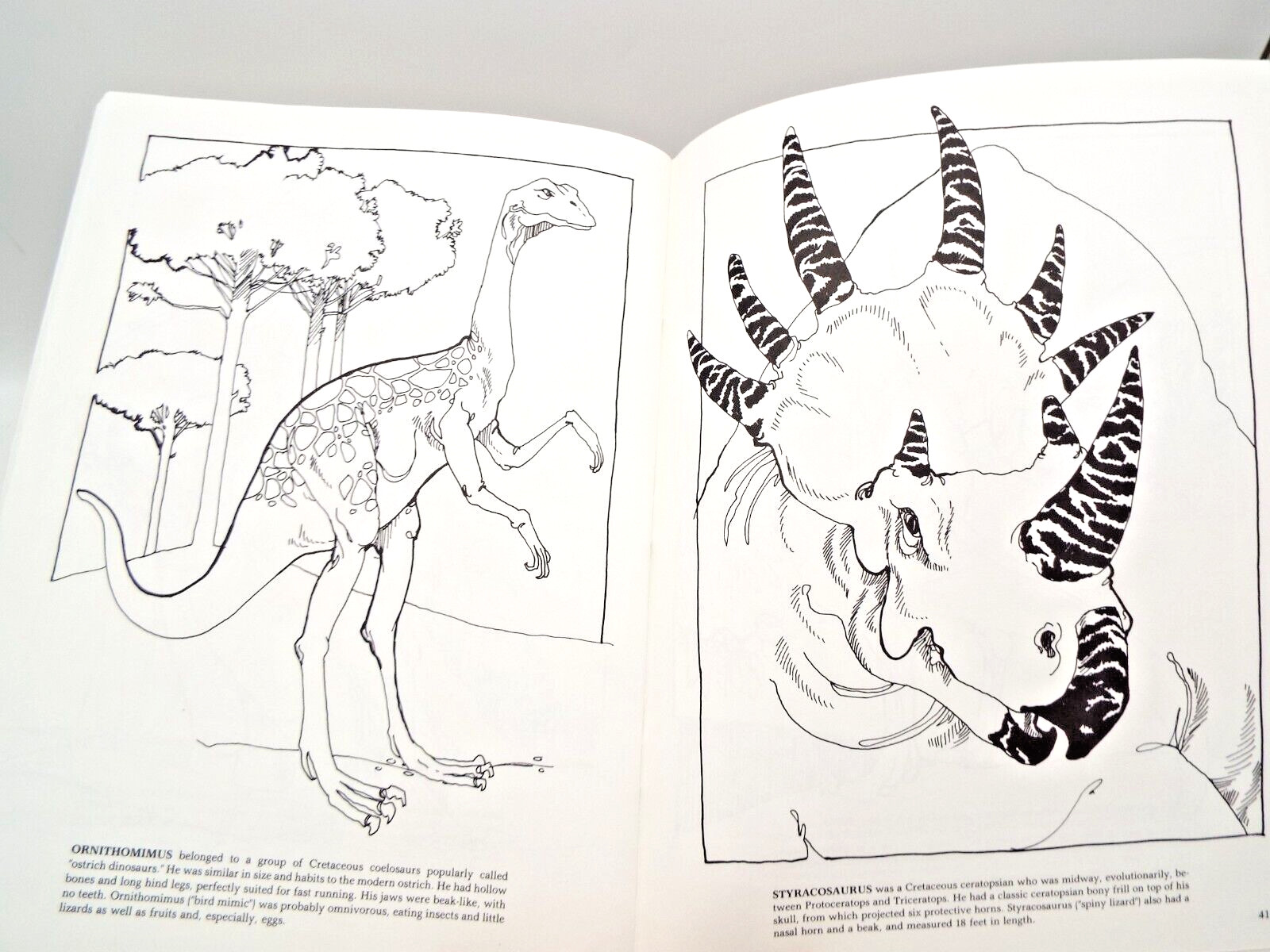 The Dinosaur Coloring Book by Anthony Rao (PB) & 2 Dinosaur Sticker Sets Vintage