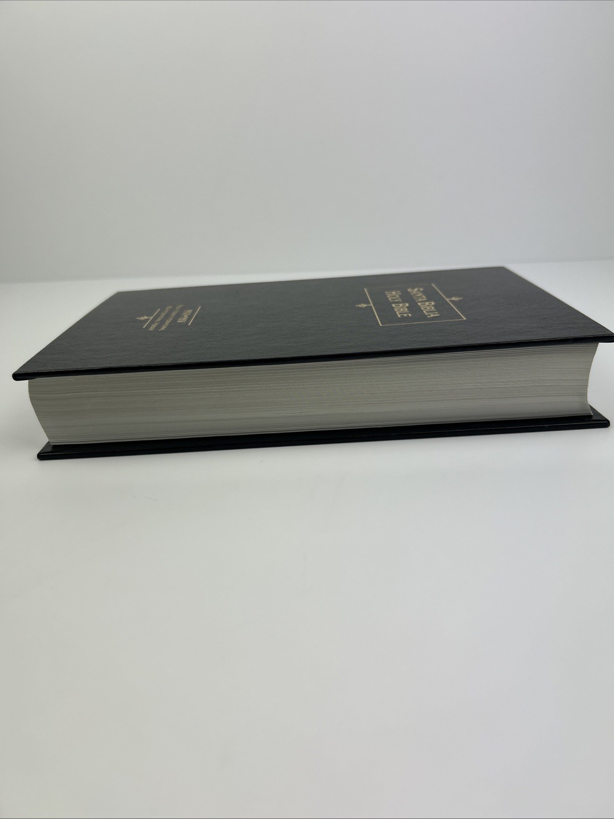 Santa Biblia Holy Bible NVI NIV New International Version Bilingual Spanish