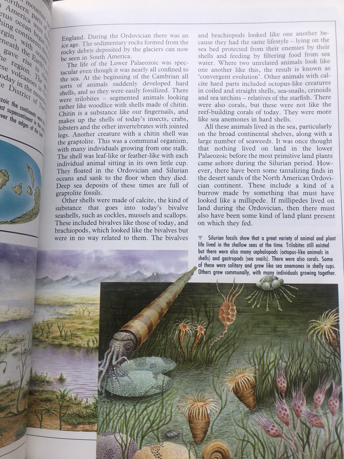 Illustrated Dinosaur Encyclopedia by Dougal Dixon (1988, Hardcover)