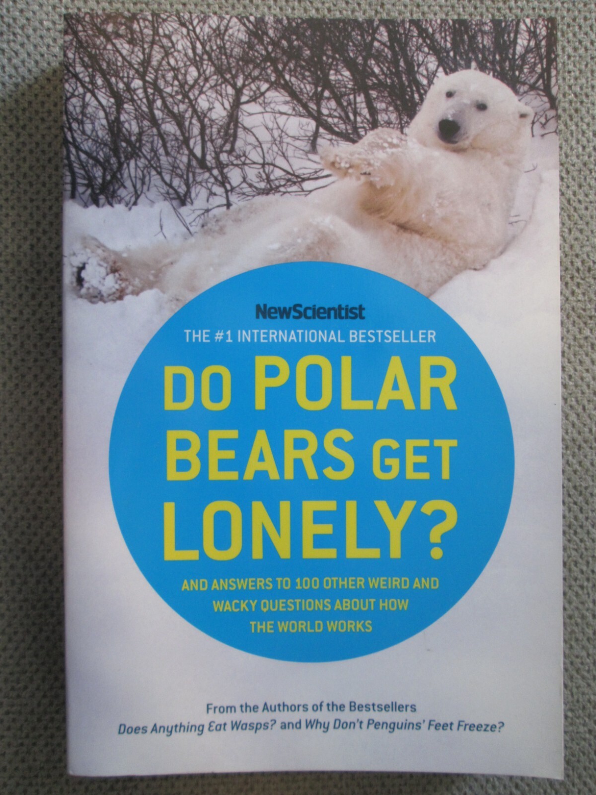 Do Polar Bears Get Lonely And Answers to 100 Other Weird and Wacky Questions