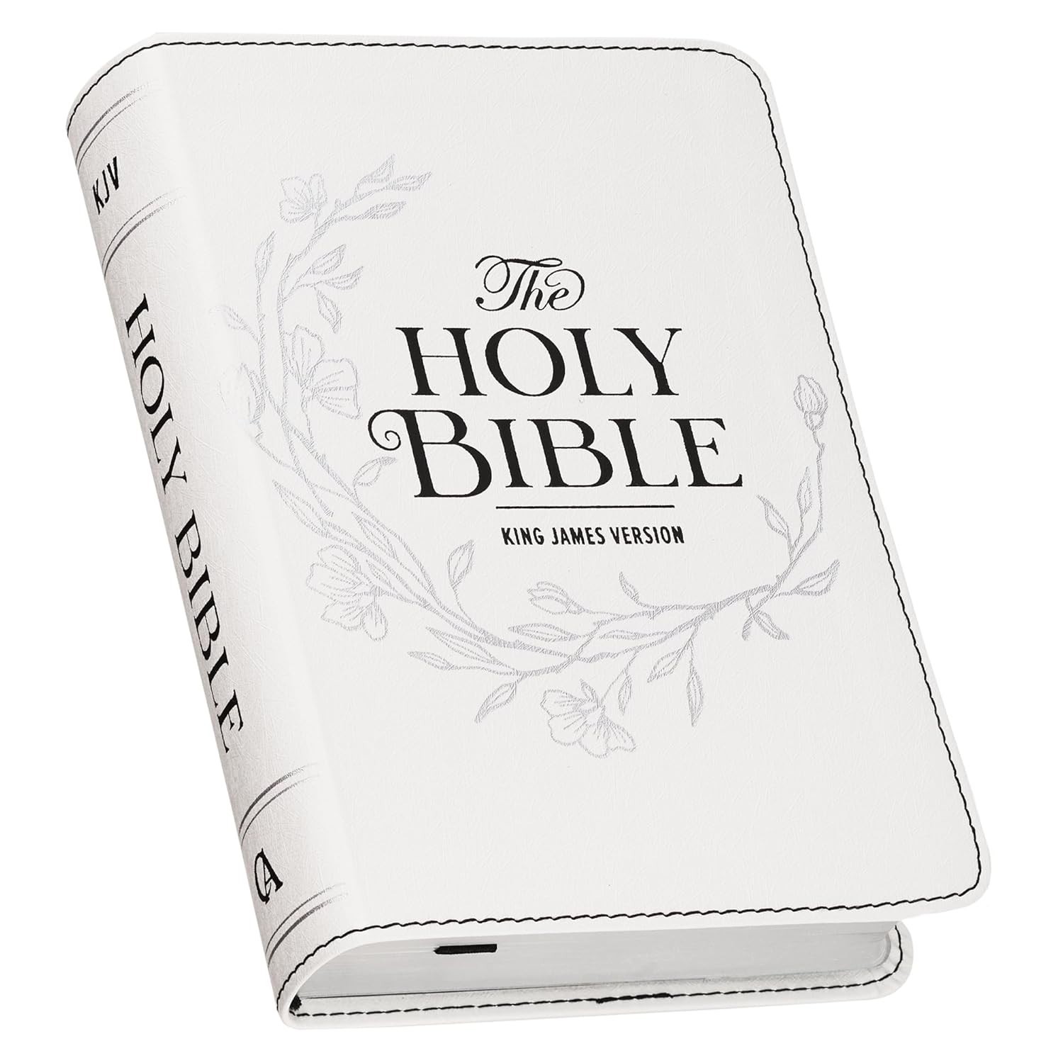 Holy Bible Compact Large Print Vegan Leather Red Letter Edition – Ribbon Marker