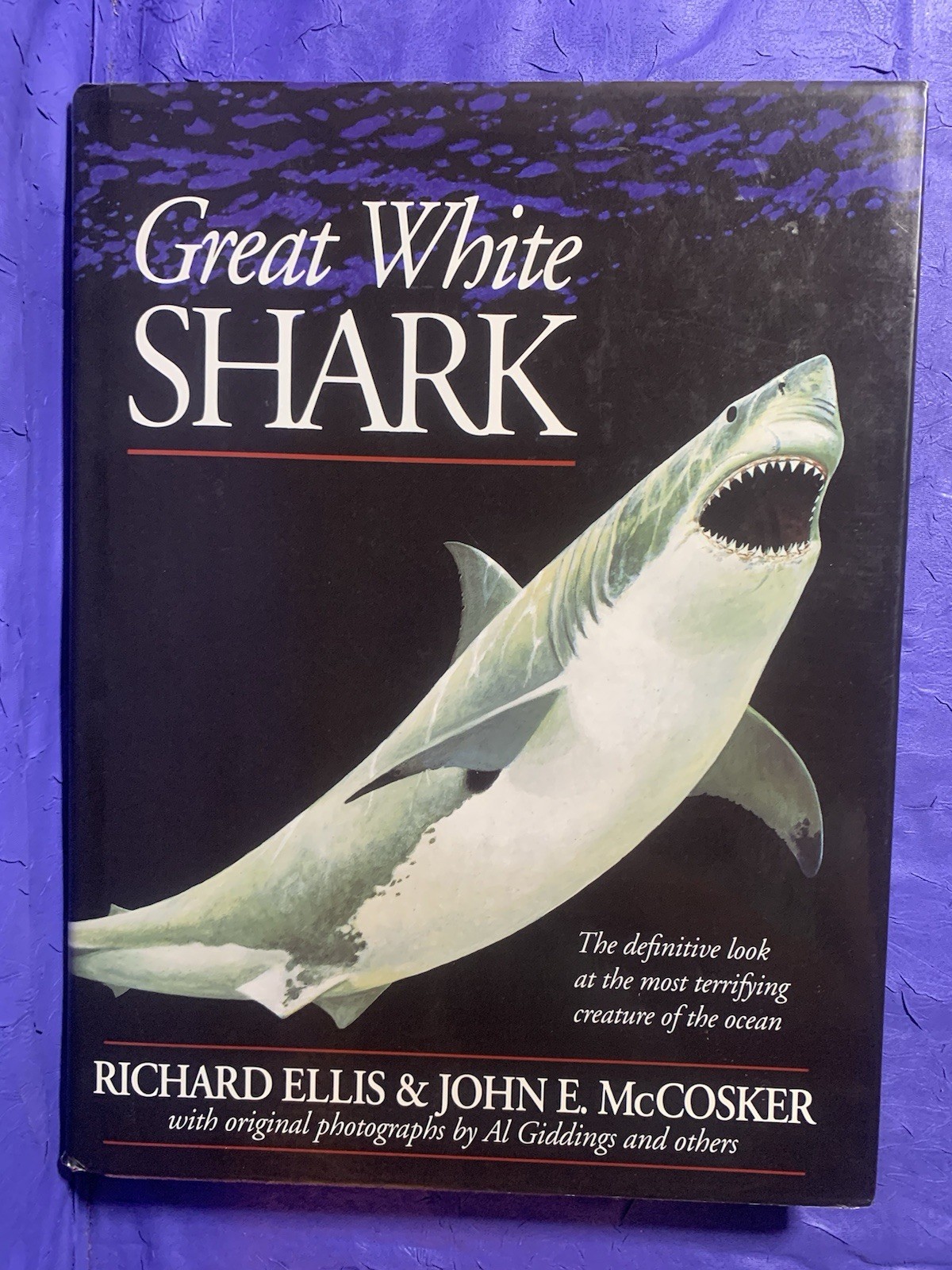 GREAT WHITE SHARK By Richard Ellis & John E. Mccosker – Hardcover w/ Dust Jacket