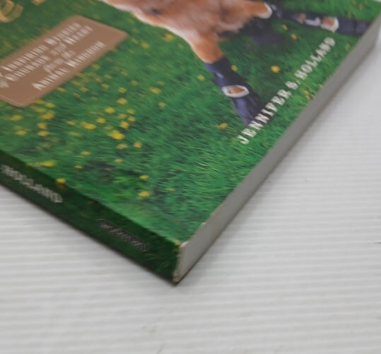 Unlikely Heroes By Jennifer S Holland Biographical/True Story Paperback In Aust