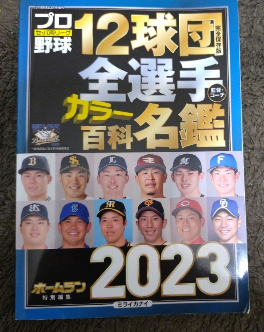 2023 Pro Baseball All Teams Color Directory 12 Teams Sports Card Album