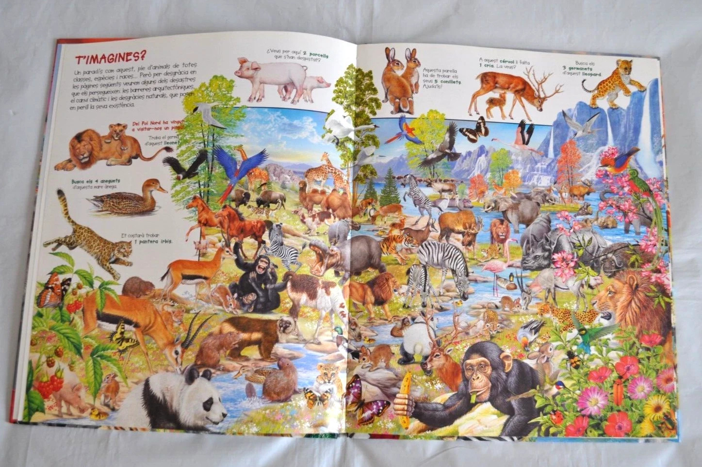 Catalan Language Busca els Animals en Perill Book Hardcover Spain 2002