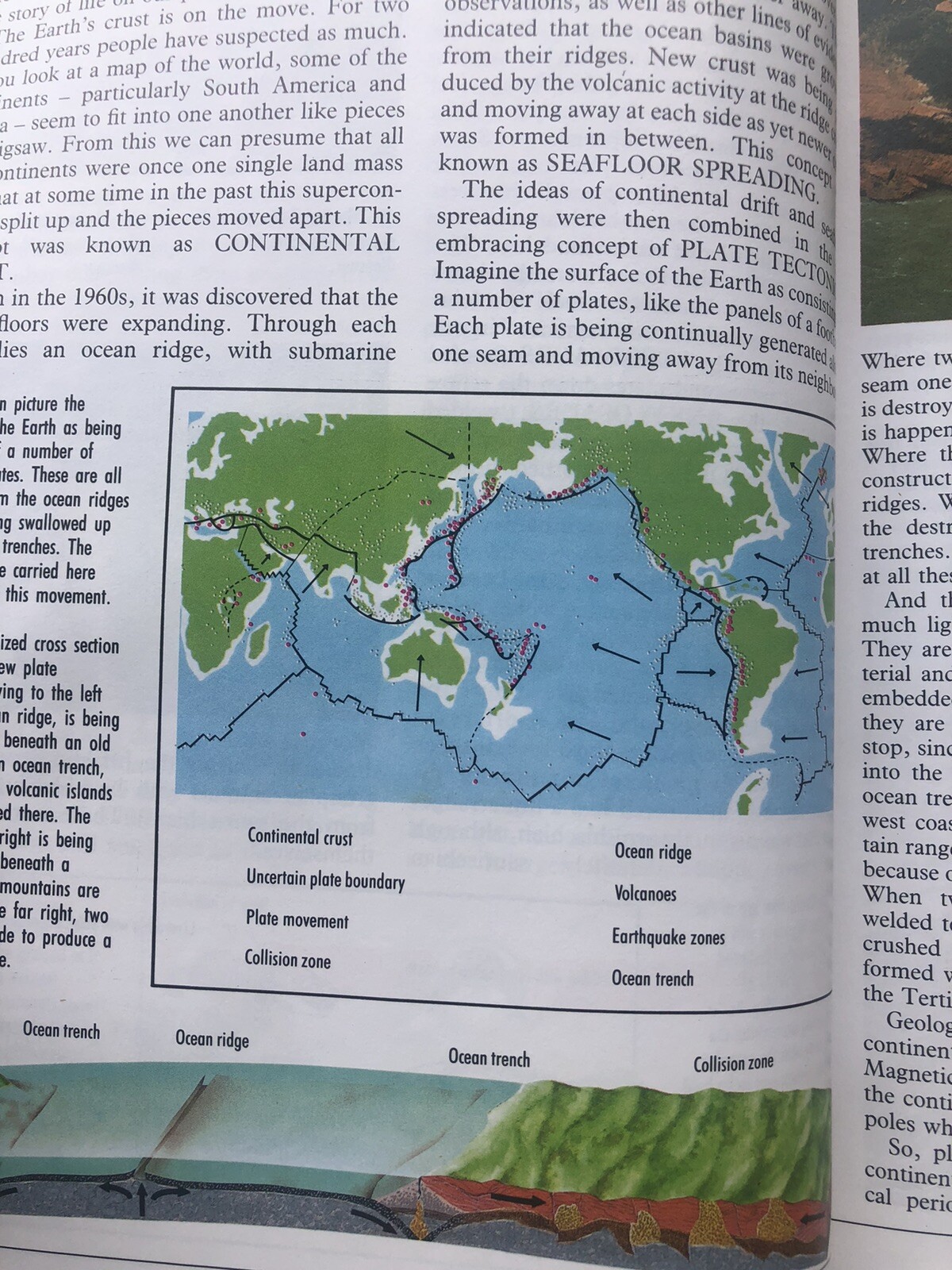 Illustrated Dinosaur Encyclopedia by Dougal Dixon (1988, Hardcover)