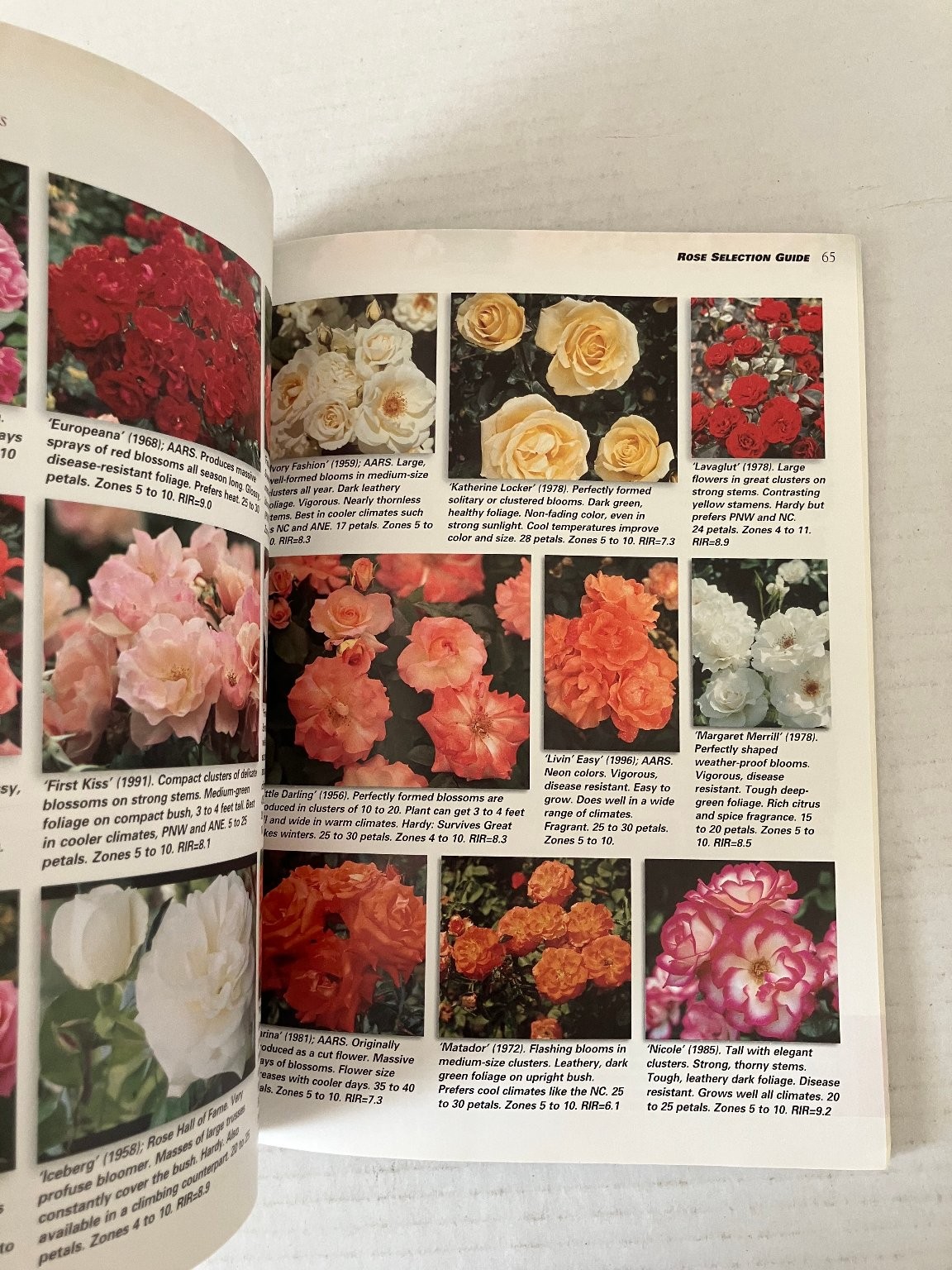Ortho’s All About Roses 1999 First Edition Gardening Guide Meredith Corp PB
