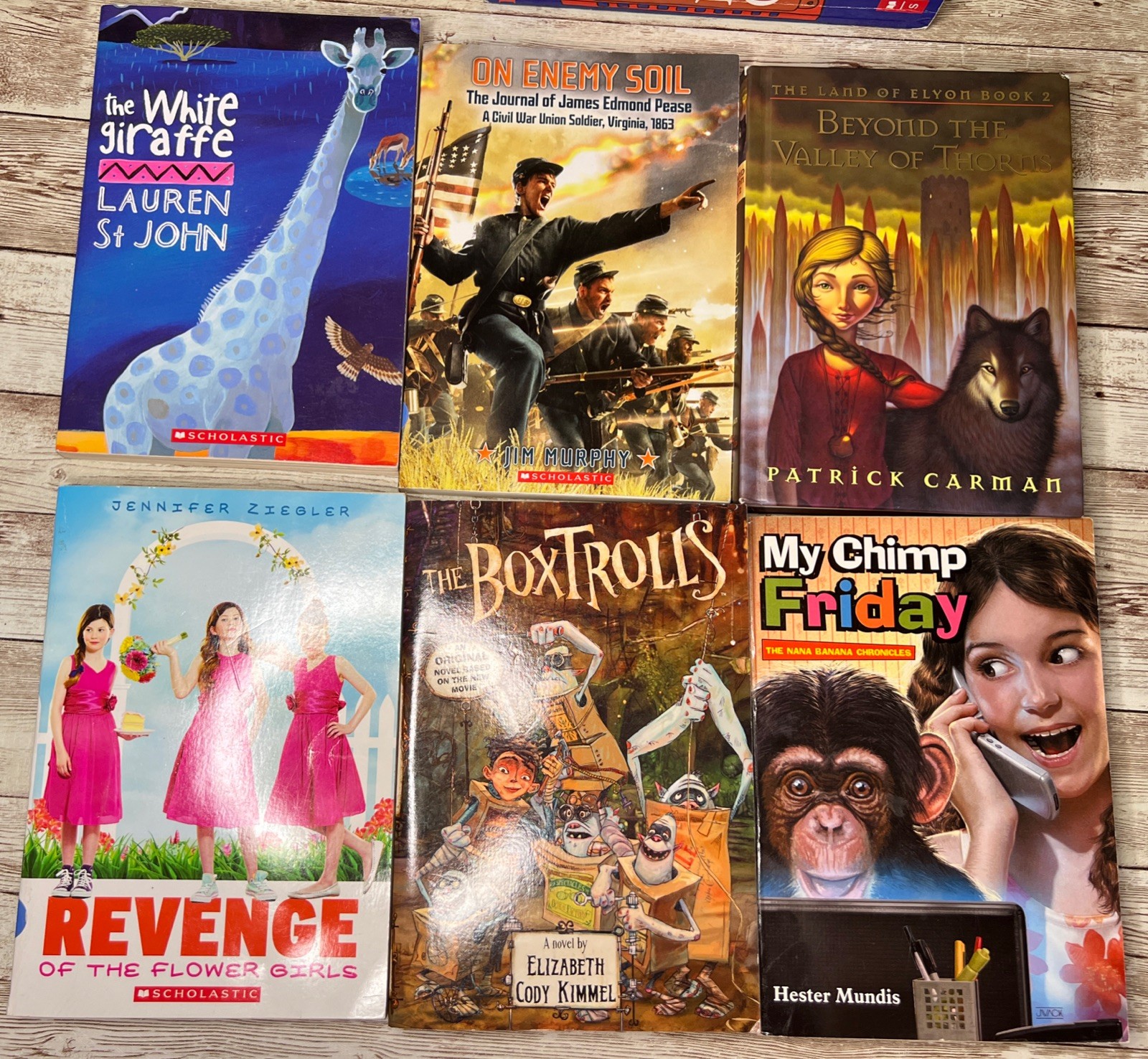 Lot of 28 Grade 3-6 Chapter Books Novels 14lbs / 39 Clues, ECHO , School of Fear