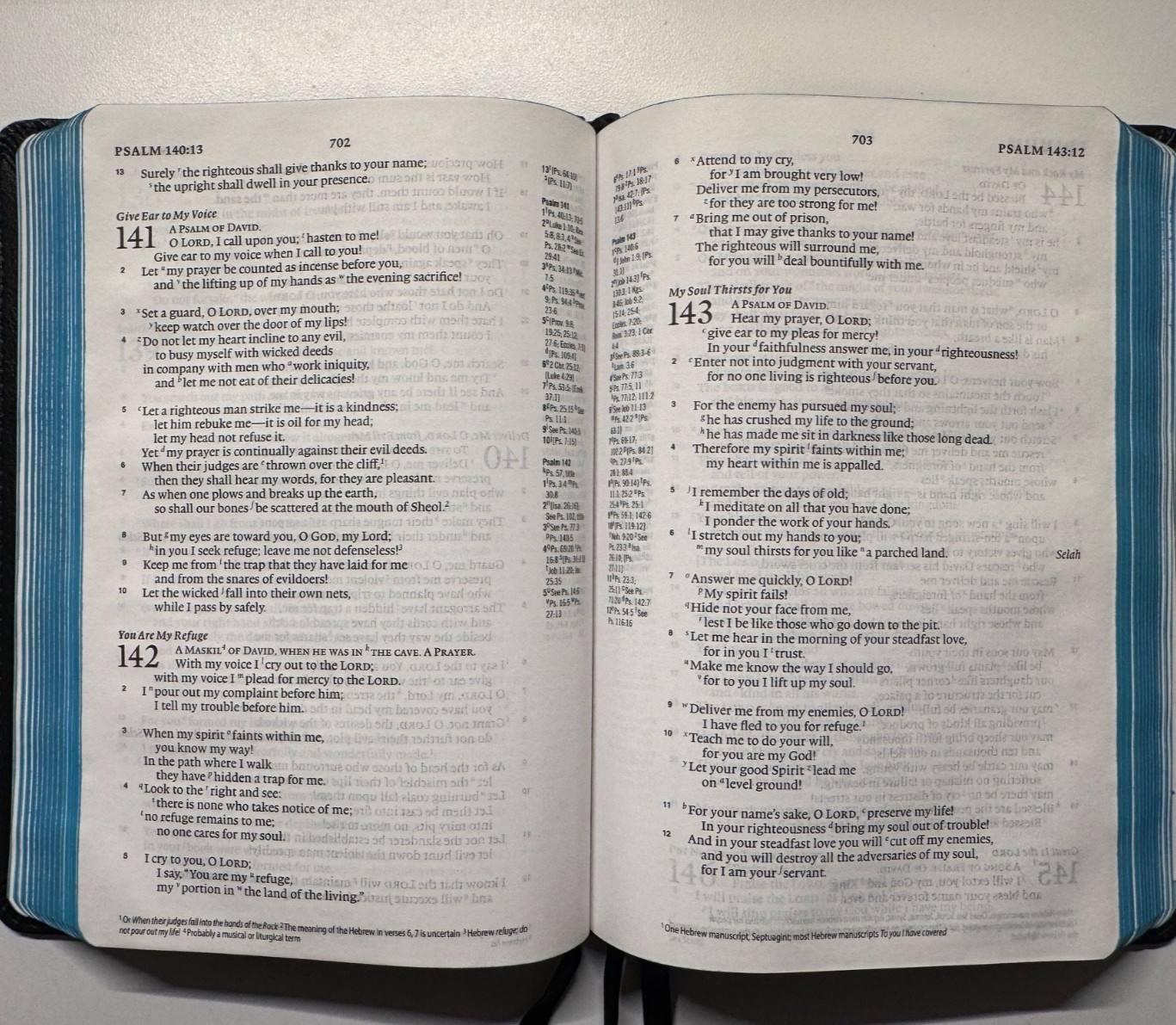 ESV Single Column Personal Reference Bible- Extra Ribbons Blue Gold Gilded