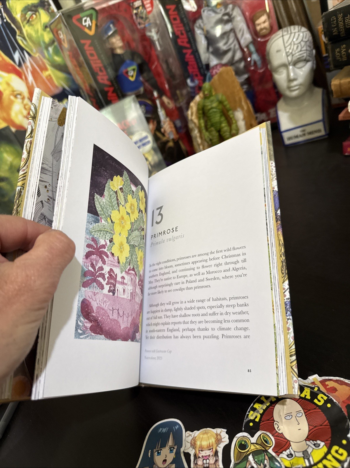 Book of Wild Flowers : Reflections on Favorite Plants by Lewin & Stocks HC DJ