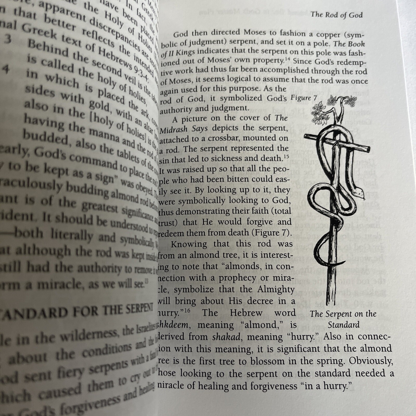 Rod of an Almond Tree in God’s Master Plan by Christie D. Michas, Peter A….