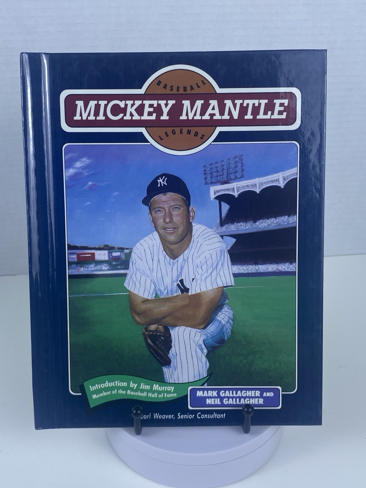 Vintage Chelsea House Baseball Legends Hardcover Book Lot (Set of 10) MLB Books