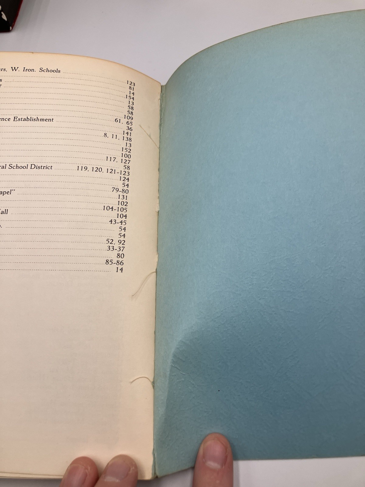 Irondequoit Story NY 1839-1967 Vintage Paperback Book Town Historian Maude West