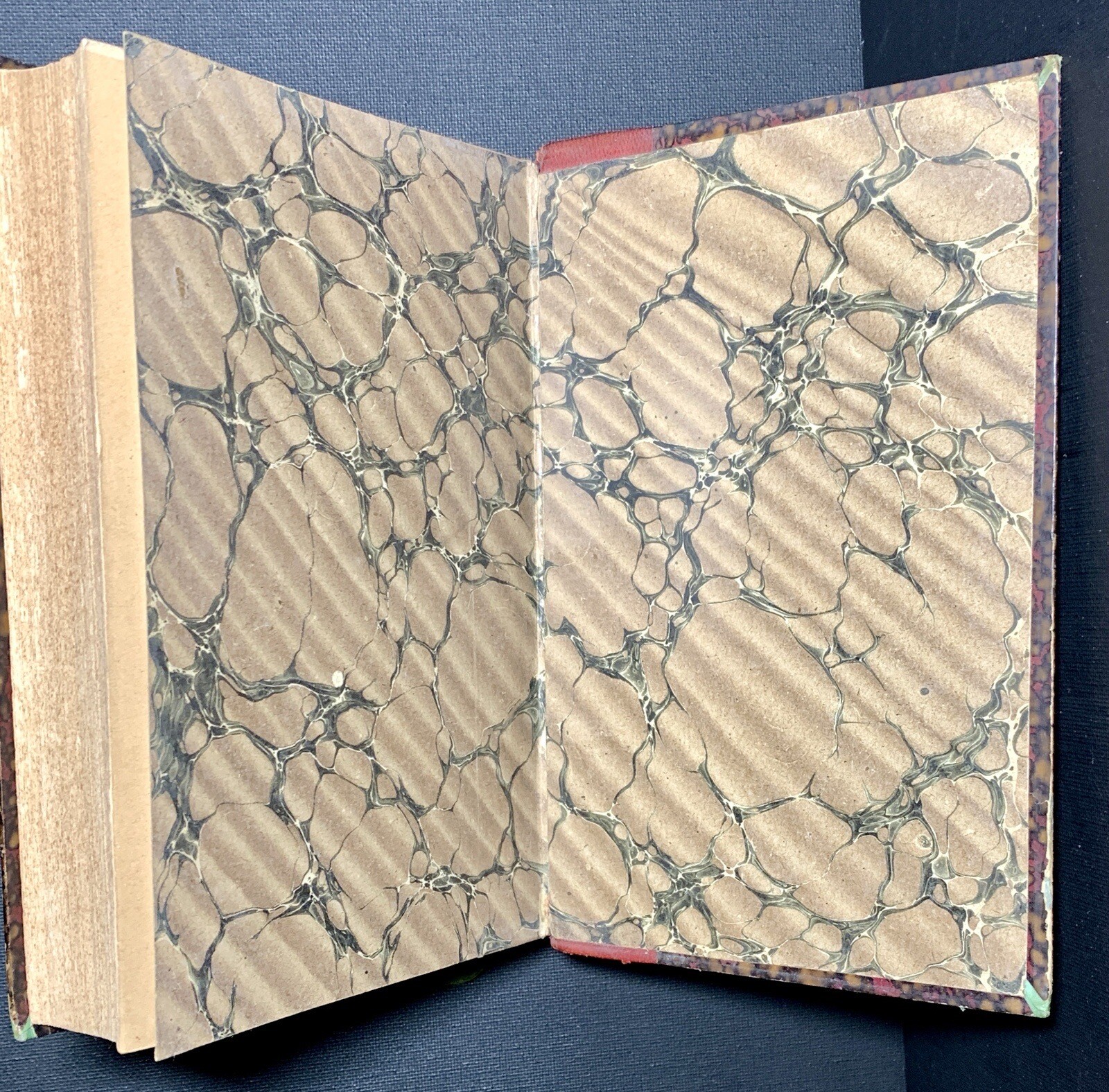 ANTIQUE 19th Century Medical French Book PATHOLOGY diseases DIAGNOSIS Medicine