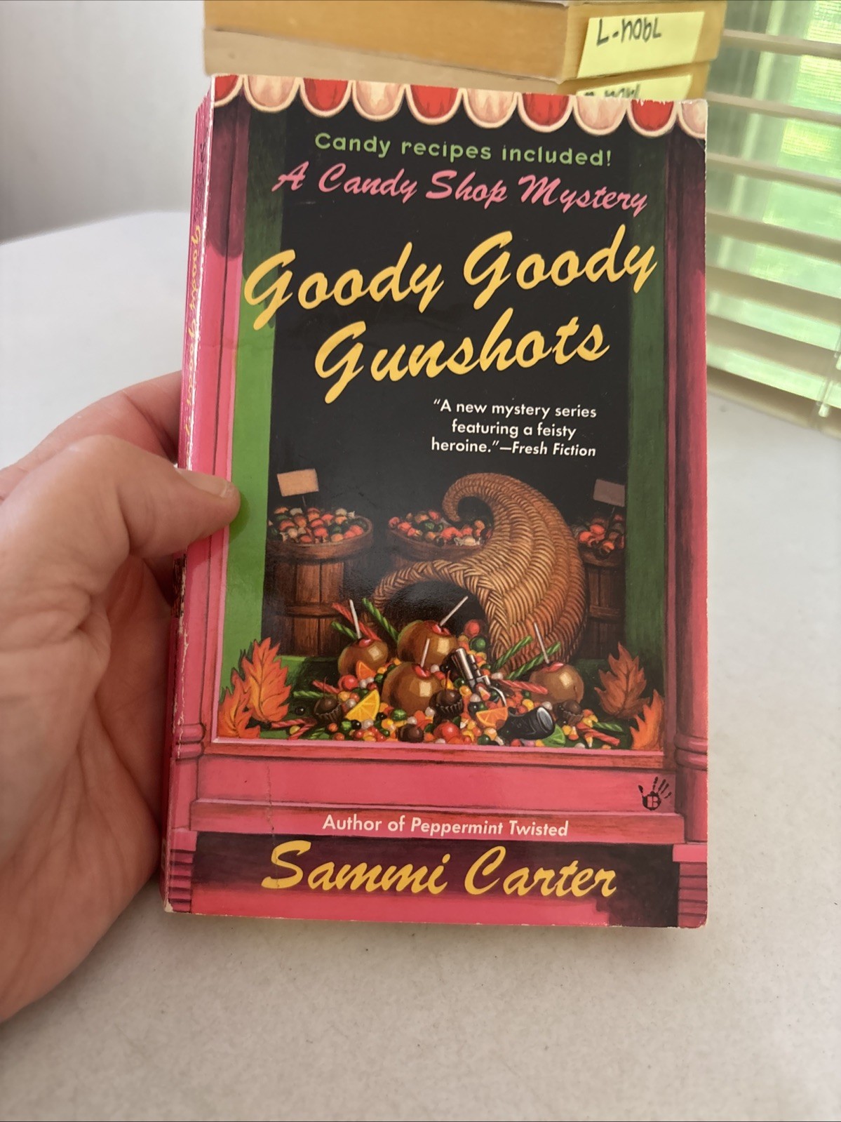 Lot of 10 – Cozy Mysteries – Mixed Authors – FREE SHIPPING