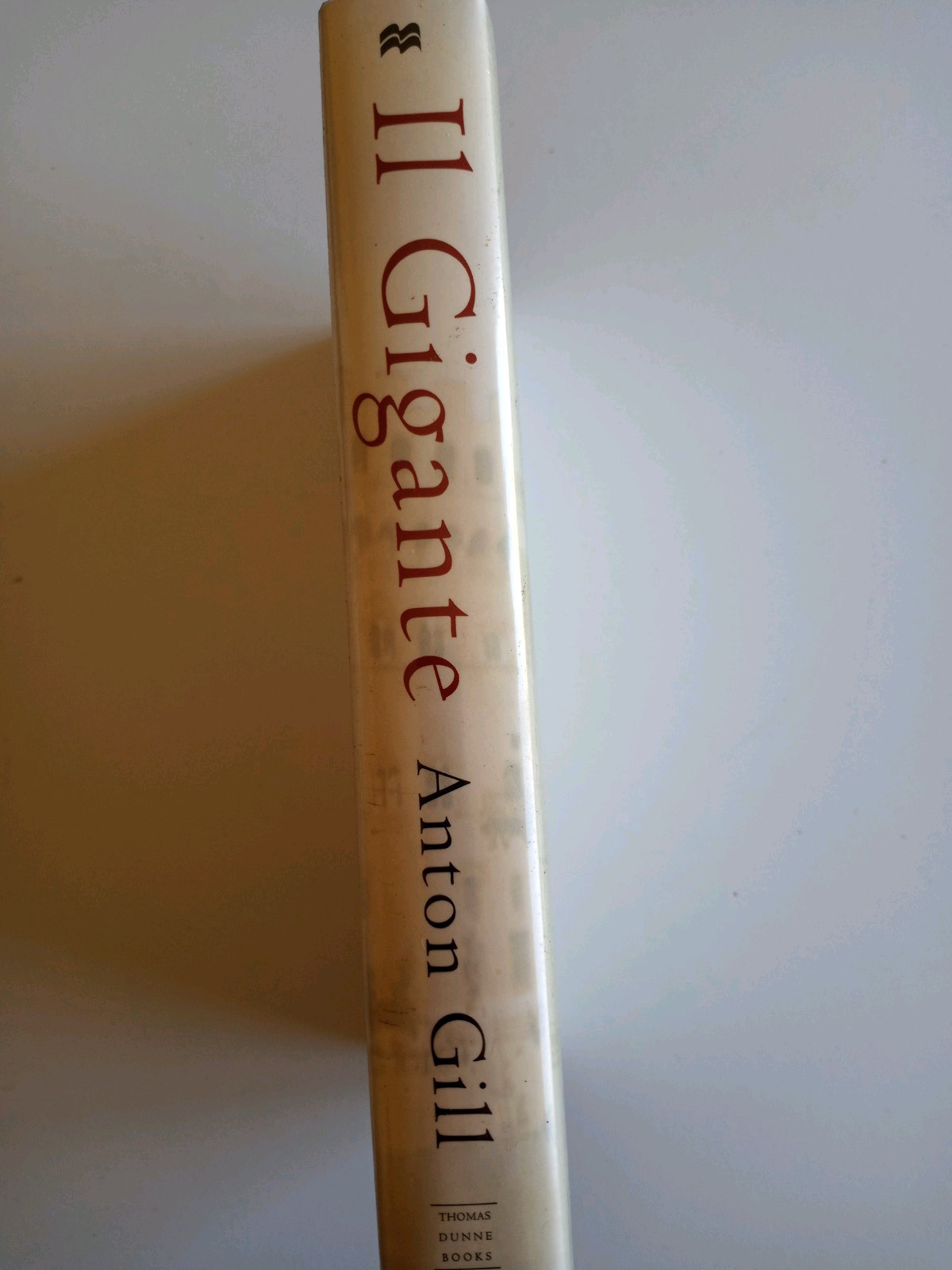 I1 Gigante, Michelangelo, Florence And The David, By Anton Gill, Hardback 1st US