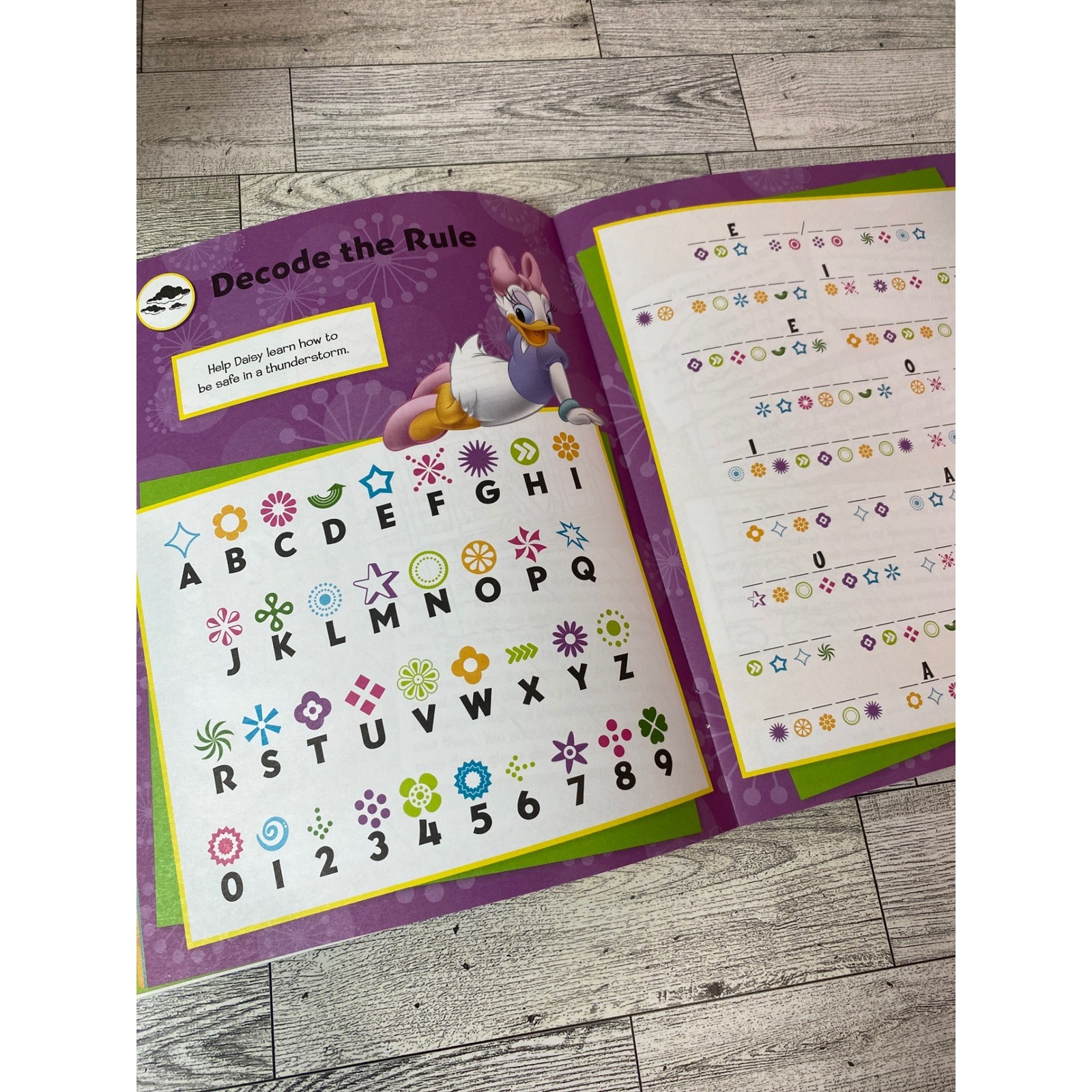 Mickey & Friends Disaster Preparedness Activity Book 2013 Softcover Disney Press