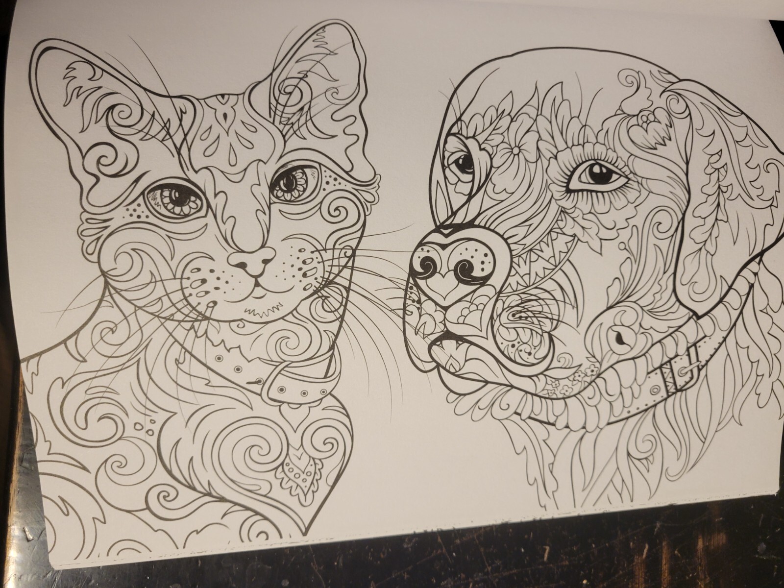 COLORING ANIMAL FRIENDS Vol 2 Adult Coloring Book With 47 Prints Ready To Frame