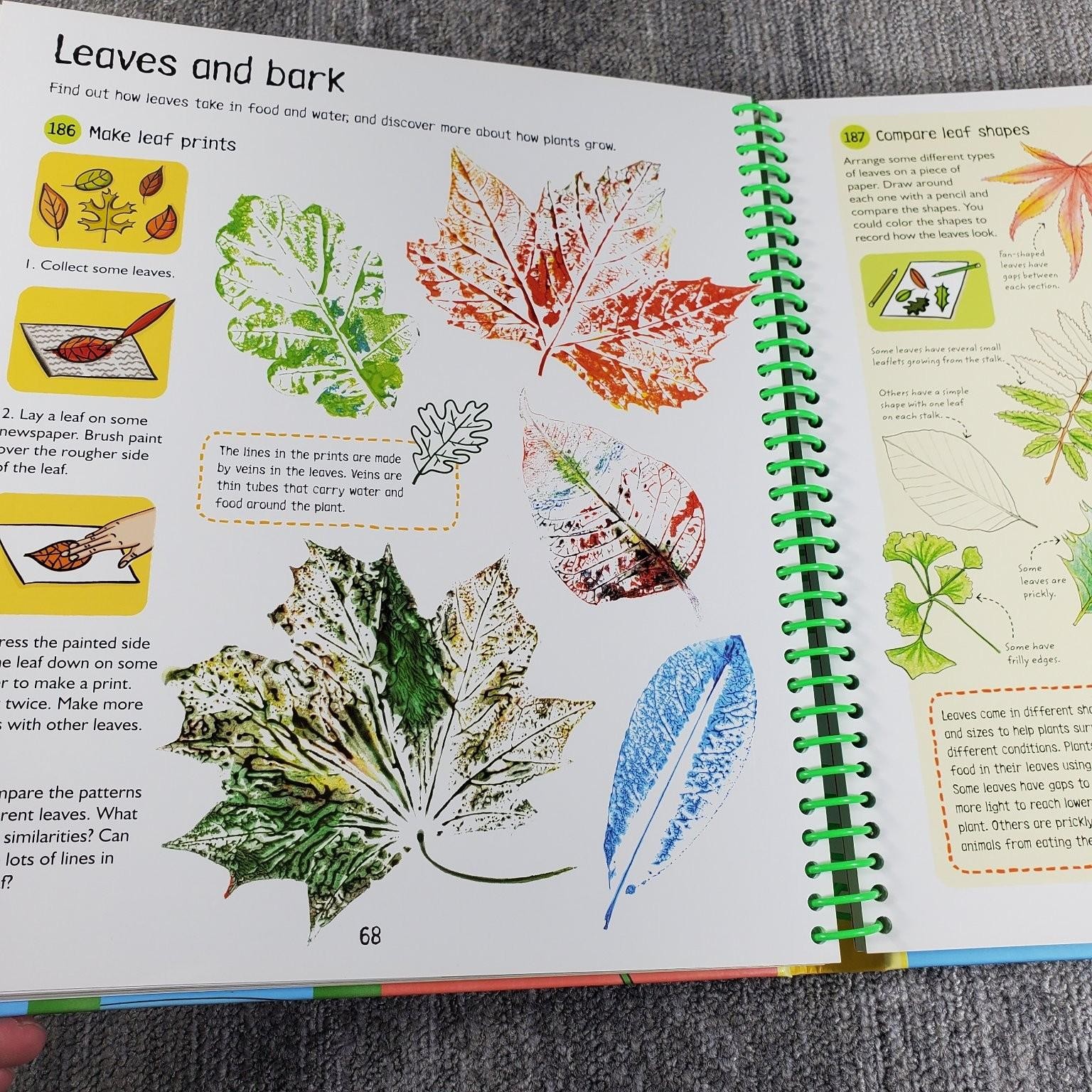 365 Science Activities Lacey Gillespie Bowman 2018 Illustrated Usborne