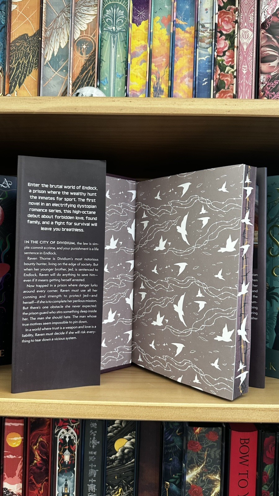 Allurial To Cage a Wild Bird Brooke Fast Special Edition Sprayed Edges Hardcover