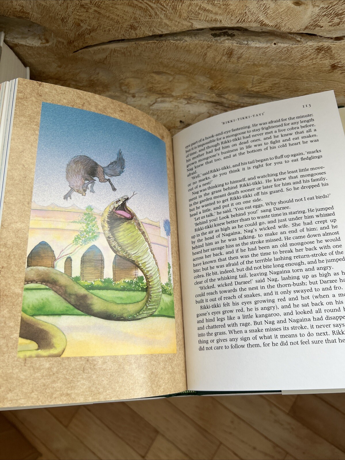 The Jungle Book Rudyard Kipling Illustrated by Michael Foreman HC/DJ/1987