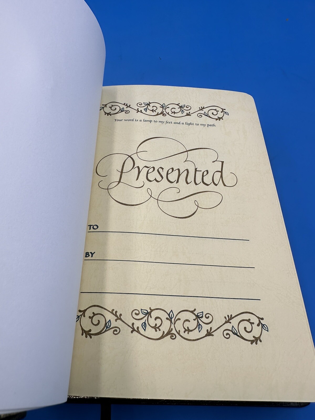 Scofield Study Bible III-NKJV (Leather / Fine Binding)