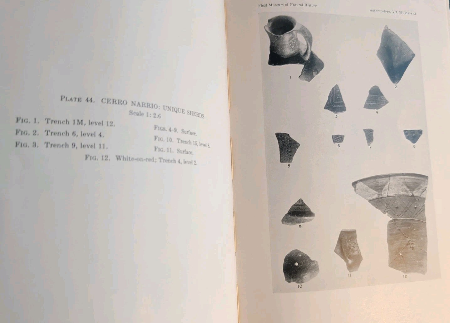 Survey and Excavations in Southern Ecuador, Donald Collier American Ethnology