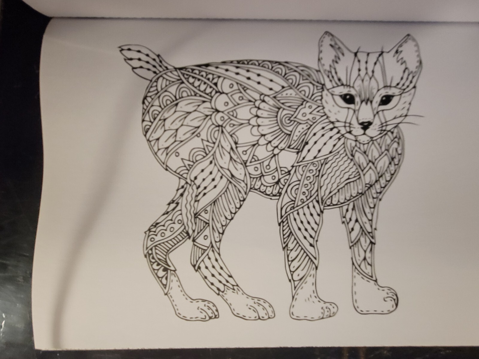 MAJESTIC CREATURES Vol 16 Adult Coloring Book With 47 Prints Ready To Frame