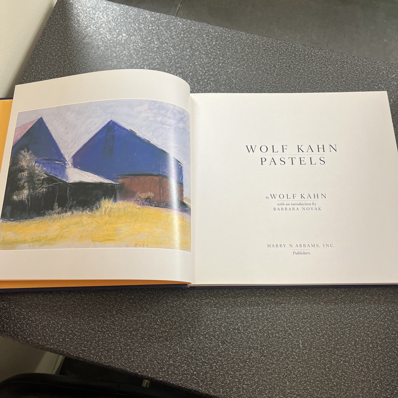 WOLF KAHN PASTELS Art Hardcover Book Harry N. Abrams 2000