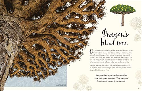 The Wonders of Nature (DK Children’s Anthologies) Brown