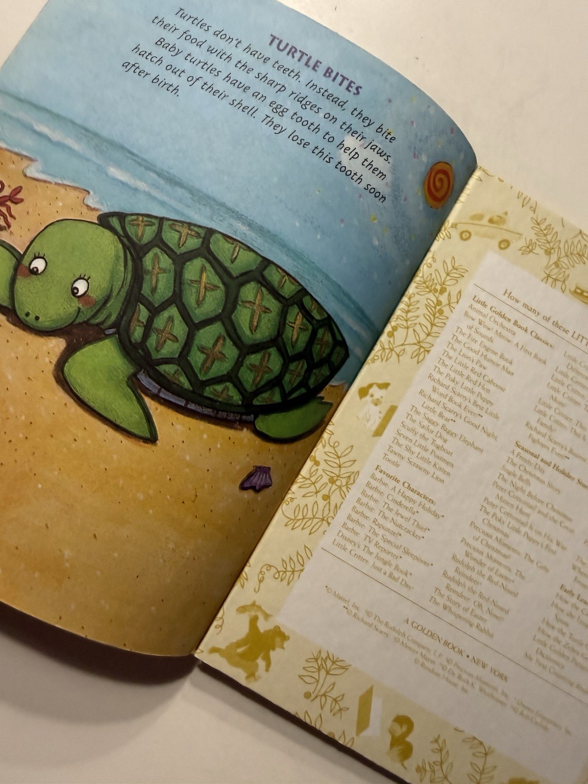 How the Turtle Got Its Shell Tales From Around the World Little Golden Book