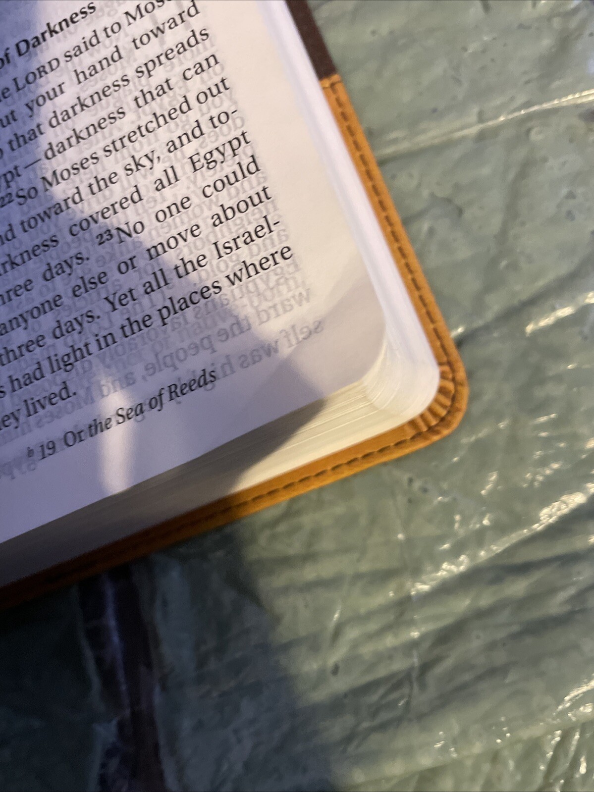 NIV Bible Large Print DuoTone Leather Soft