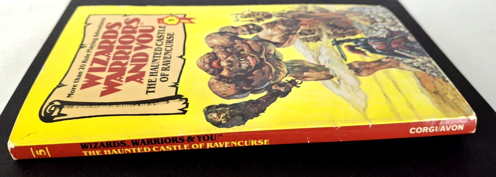 Wizards Warriors and You #5: The Haunted Castle of Ravencurse RPG UK Import CYOA