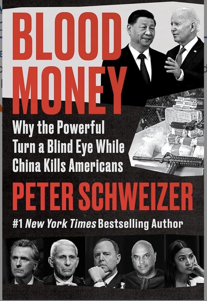 Blood Money: Why the Powerful Turn a Blind Eye While China Kil – VERY GOOD