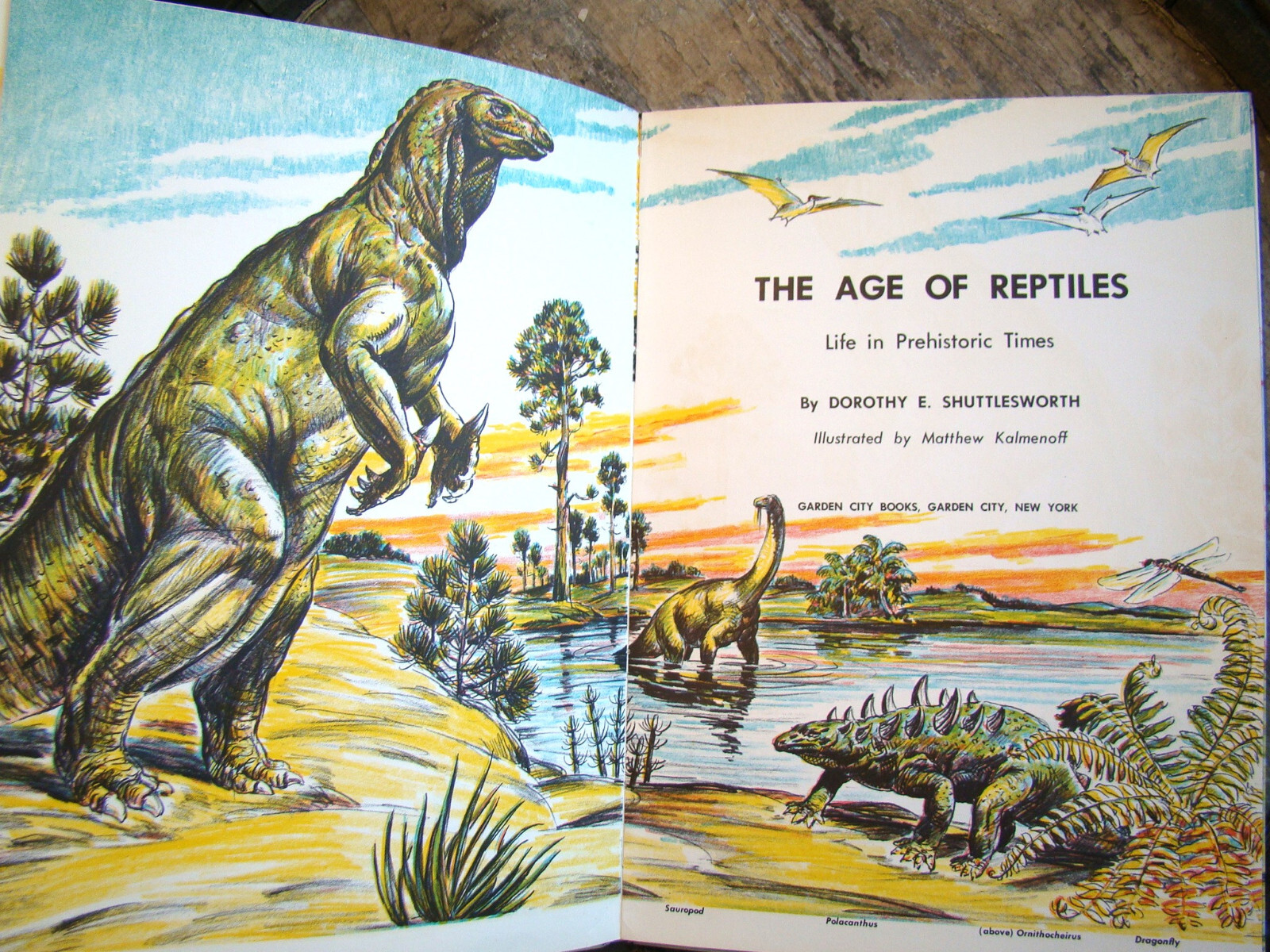 The Age Of Reptiles ~1958 HC~ Shuttlesworth Children’s Prehistoric Dinosaurs 🦖