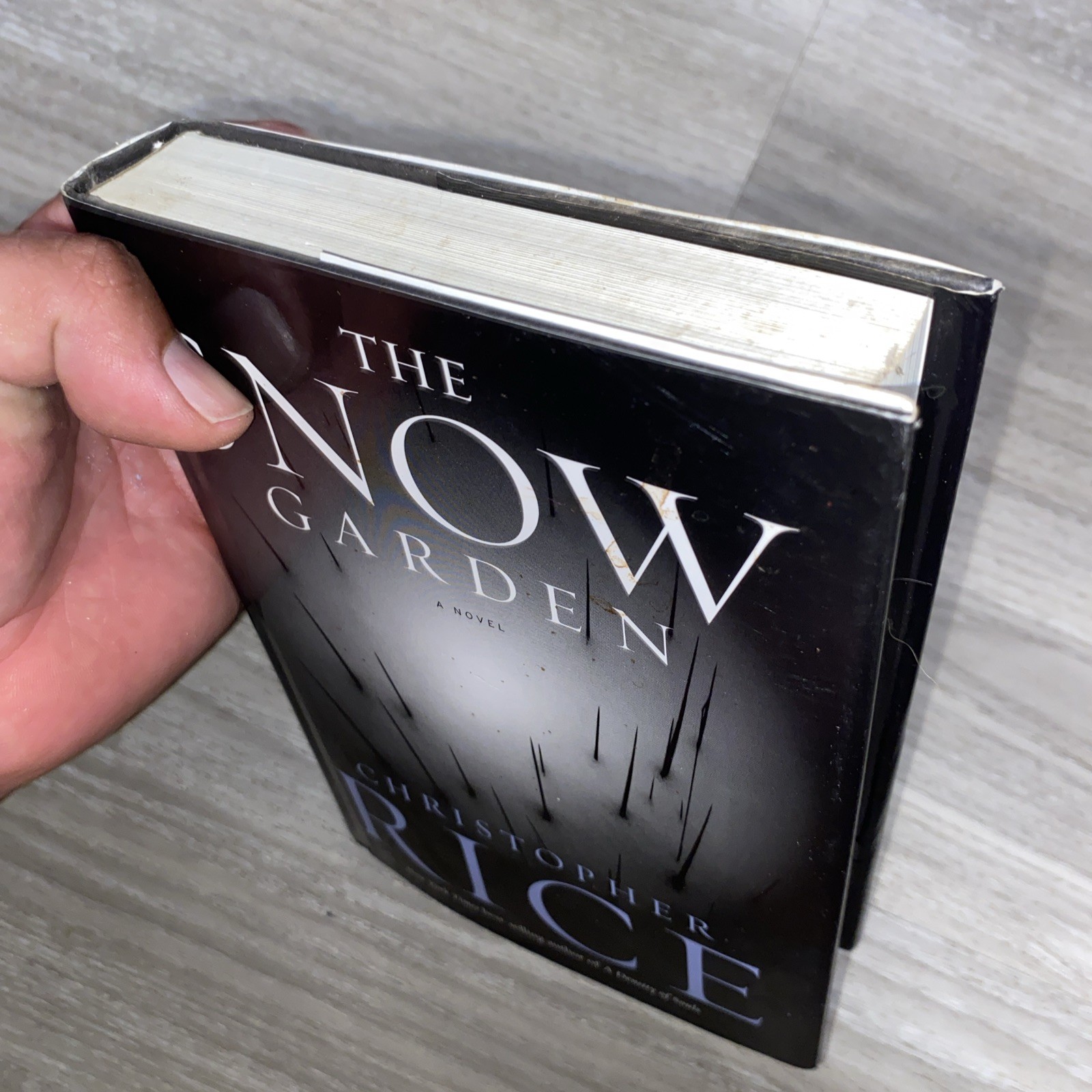Snow Garden : A Novel by Christopher Rice (2002, Hardcover)